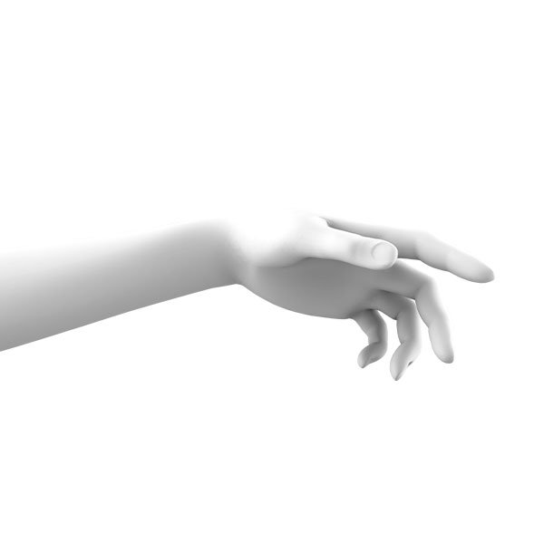 shop-img-11-gallery-2 x