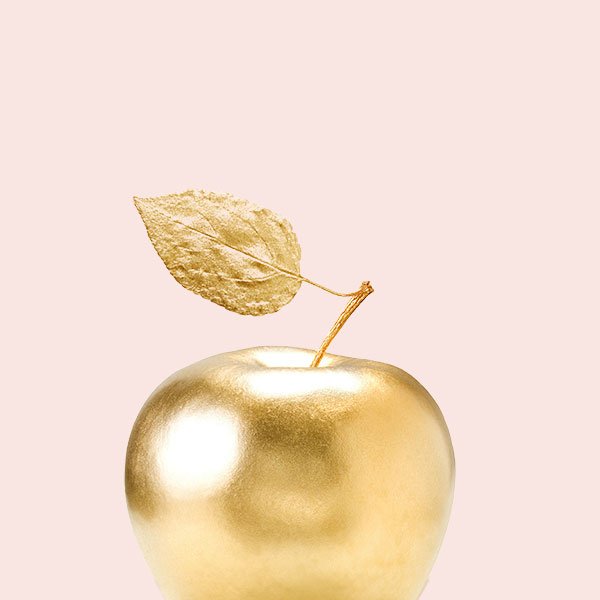 shop-img-14-gallery-2